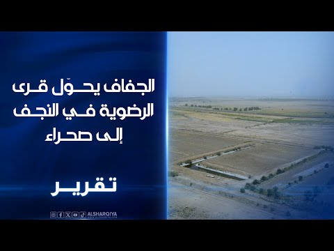 فيديو | الجفاف يحول قرى الرضوية في النجف إلى صحراء
