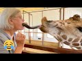 Hilarious Animal Reactions Give Me A Kiss