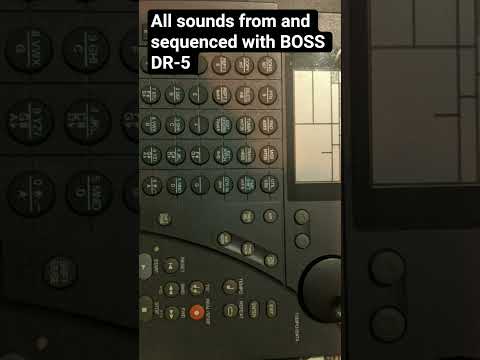 Boss DR-5 Dr. Rhythm 1990s - Black image 4