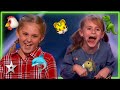 Unbelievable Animal Noises On America S And Britain S Got Talent