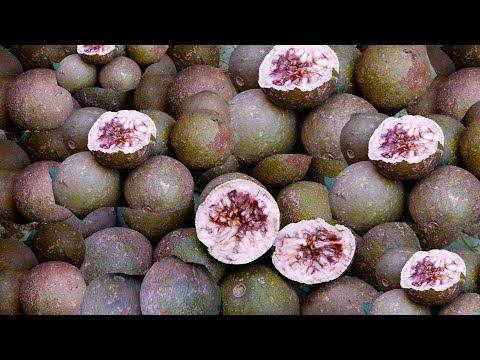 Asian Street Food - Plenty Of Fresh Foods For Sales In Cambodian Market