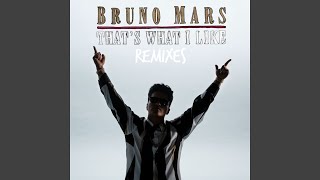 That's What I Like (Alan Walker Remix)