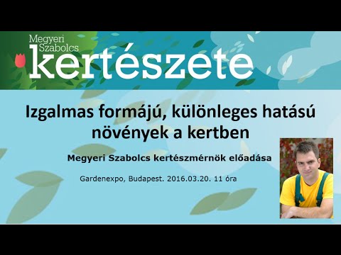 Milyen olcsó gyógyszer férgek számára