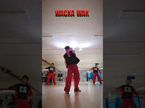 [#SDF] 태용 - 'WACKA WAK' challenge 백구영 & 바다 ver. [mirrored]