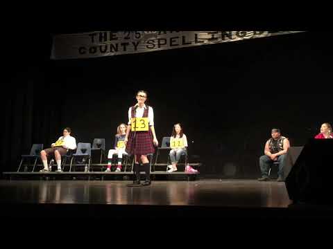 I Speak 6 Languages (Marcy Park)