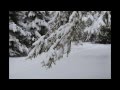 Chequamegon (Winter Song)