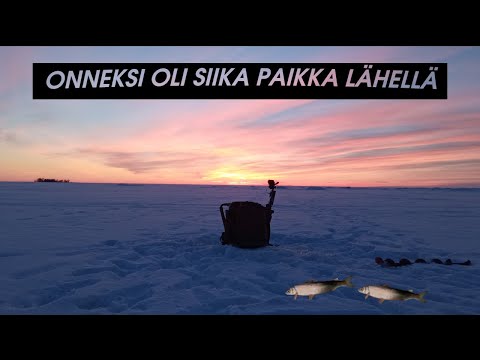 AHVENIA ETSIMÄSSÄ - #9