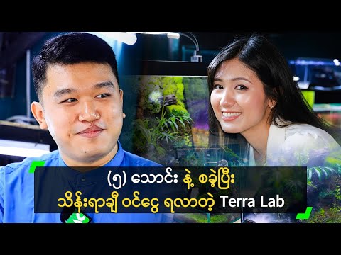 (၅) သောင်း နဲ့ စခဲ့ပြီး သိန်းရာချီ ဝင်ငွေ ရလာတဲ့ Terra Lab