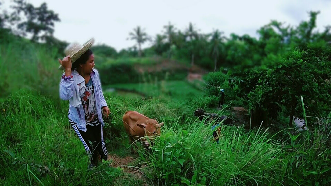 Ang Aming Mga Alagang Hayop Sa Bukid-BUHAY BUNDOK