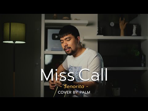 Miss Call - Senorita (Cover by Palm)