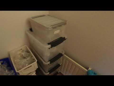 MongoTV_6236 - Kigger På Flyttekasser i Forstue Stået 7 År - Del 59 - Hedebølge - Mangler En Bogreol