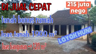 Download lagu (SOLD OUT) For sale, a habitable limasan house, land area: 1900m², price: 215 million, negotiable... mp3