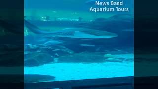 Aquarium Tours Travel and Discover 1 : Overlooking in the Dubai City
