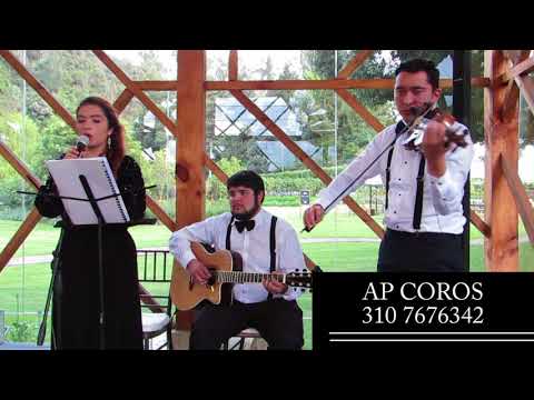 Sacramento De Amor (Canto de Comunión)