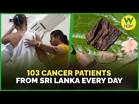 103 cancer patients from Sri Lanka every day