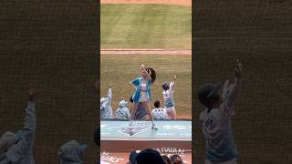 【Dragon Beauties】#沛沛 #陳子豪 #冬季聯盟@洲際棒球場 20241208 #台湾チア #cheerdance #cheerleader #cpbl #dragonbeauties