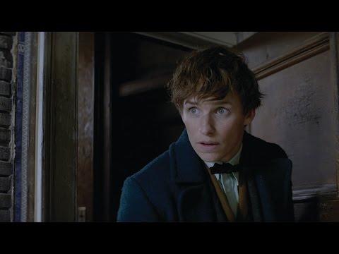 Fantastic Beasts and Where to Find Them (Featurette 'IMAX Fan Event')