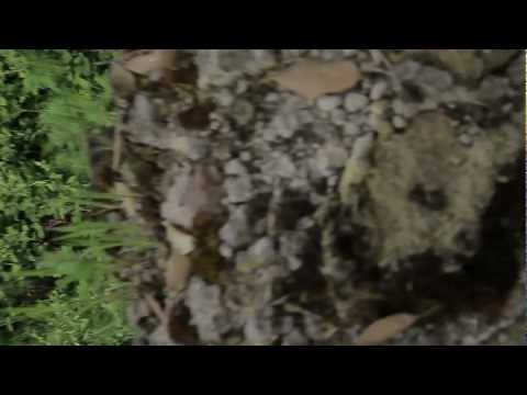 Déjà vu - Diario di bordo di uno sconosciuto.mp4