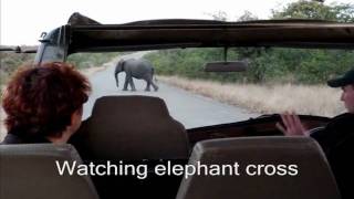 Drive in Kruger National Park (Part 7 of 7)