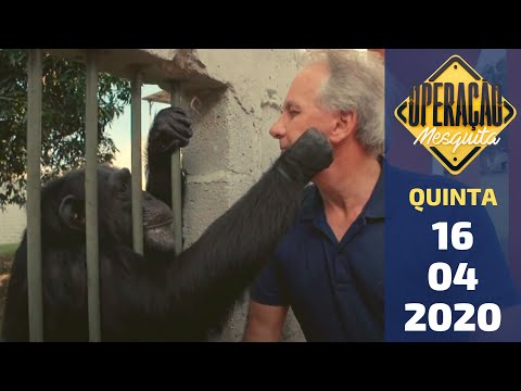 Operação Mesquita 16/04/2020 - Santuário de Chipanzés