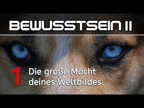 BEWUSSTSEIN II - Buddha und die Tücken des Bauchgefühls