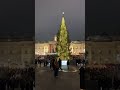 London Christmas Tree From Norway