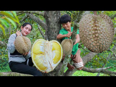 Giant fresh durian from the tree - amazing 2 recipes with big durian - Wonderful durian Fruit