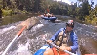 Sports Rafting on the Tully River - Exciting Adventure in the Wet Tropics - Warm, Wet and Wild!