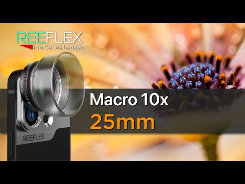 REEFLEX Macro 10x lens | Insane level of details, beyond the naked eye
