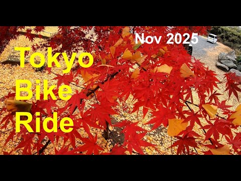 Tokyo Bike Ride - Nov 2025