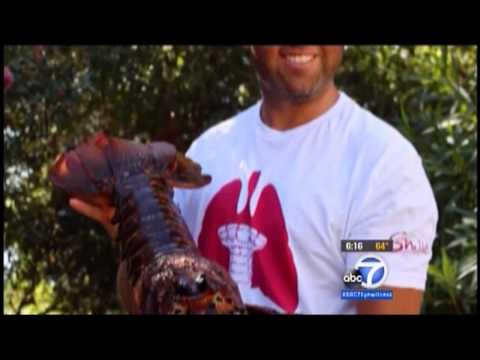 Forrest Galante and the Lobster ~ Albert Girther