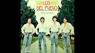 Siento Nacer el Amor Lyrics English Translation