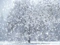Debussy, Children's corner 4. The snow is ...