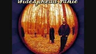 widespread panic-counting train cars.wmv