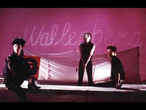 Wallenberg - Memories Damage [1986 France Goth Rock]