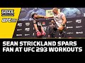 Sean Strickland Spars Fan at UFC 293 Workouts - MMA Fighting