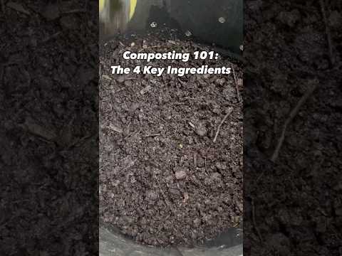 Composting 101: The 4 Key Ingredients 🌱