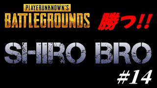 【PUBG】勝つ!!ライブ#14【素ブラ】