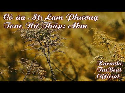 Karaoke Cỏ Úa (Slow) - Tone Nữ Thấp | TAS BEAT