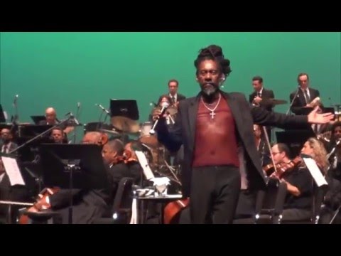 Orquestra Sinfônica de Minas Gerais - Sinfônica Pop e Luiz Melodia (2015) - Vale quanto pesa