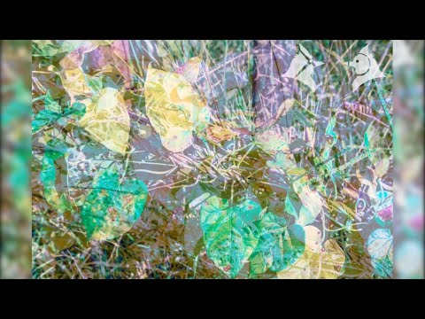 Style by Majär photography by me remix overlay by me