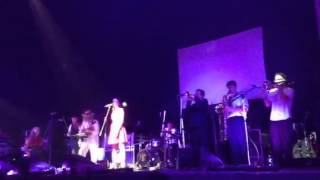 You&#39;re driving me crazy - Squirrel nut zippers