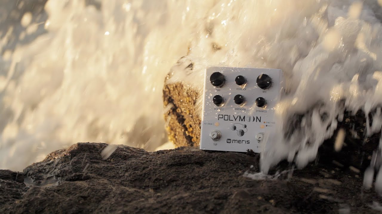 Meris Polymoon Super-Modulated Delay Pedal