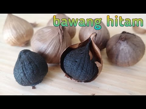 , title : 'cara membuat bawang hitam | black garlic'