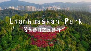 Shenzhen’s Best Skyline View 🇨🇳 Hiking Lianhua Mountain Park Full Travel Guide!