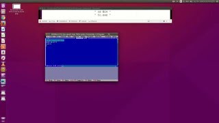 How to run TC (C/C++ Program) on Linux Ubuntu by using DOSBox