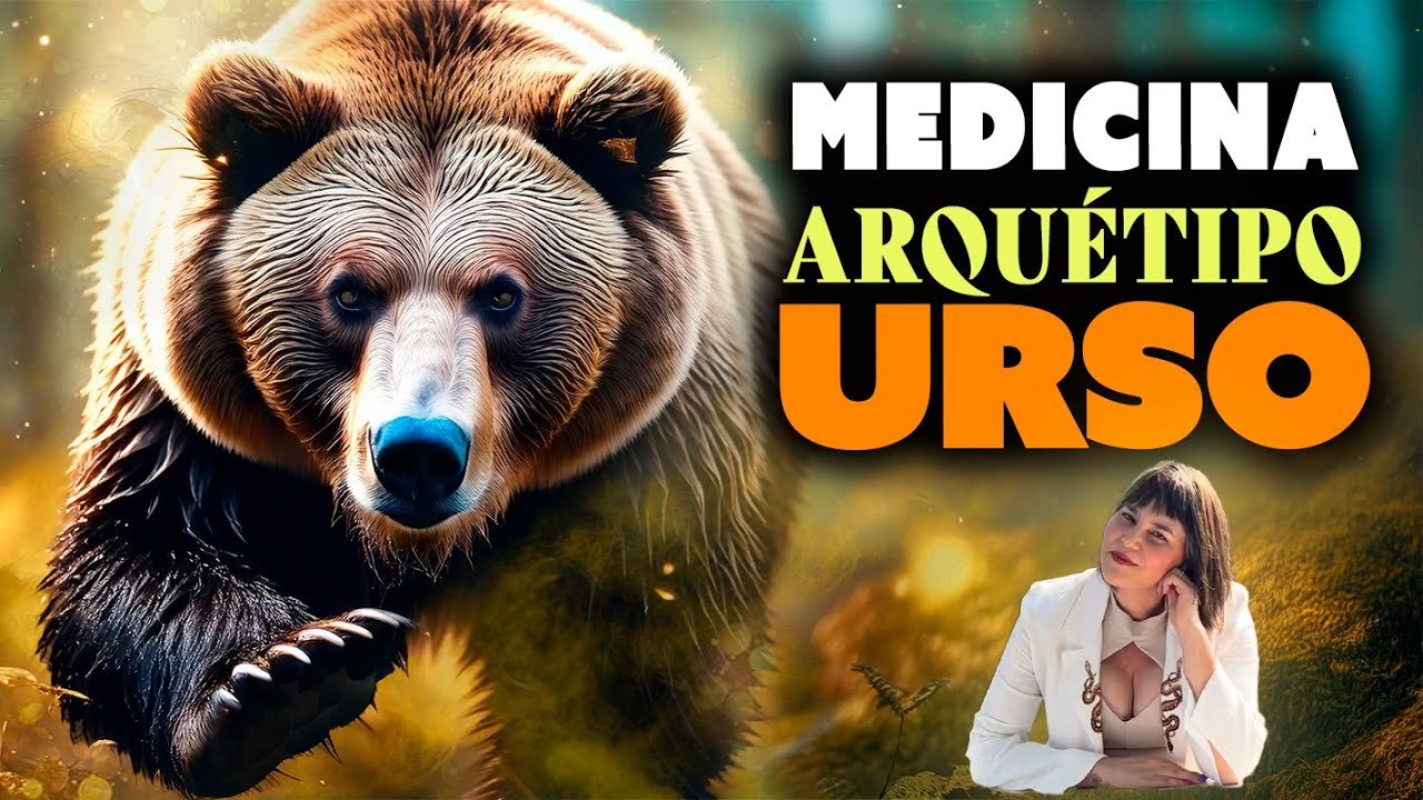 Medicina e meditação do Urso