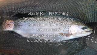 Sight fishing San Juan River big trout Andy Kim Jan 2011 Fuji hs 10