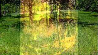 VAN MORRISON - IN THE FOREST