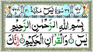 Download lagu 036 Sura Yaseen Full (Sura Yaseen Recitation With HD Arabic Text ) Sura Yaseen Pani Pati Voice mp3 Download lagu 036 Sura Yaseen Full (Sura Yaseen Recitation With HD Arabic Text ) Sura Yaseen Pani Pati Voice mp3